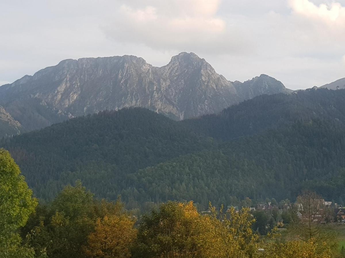 Apartament Sobiczkowa Zakopane Kościelisko Exterior foto